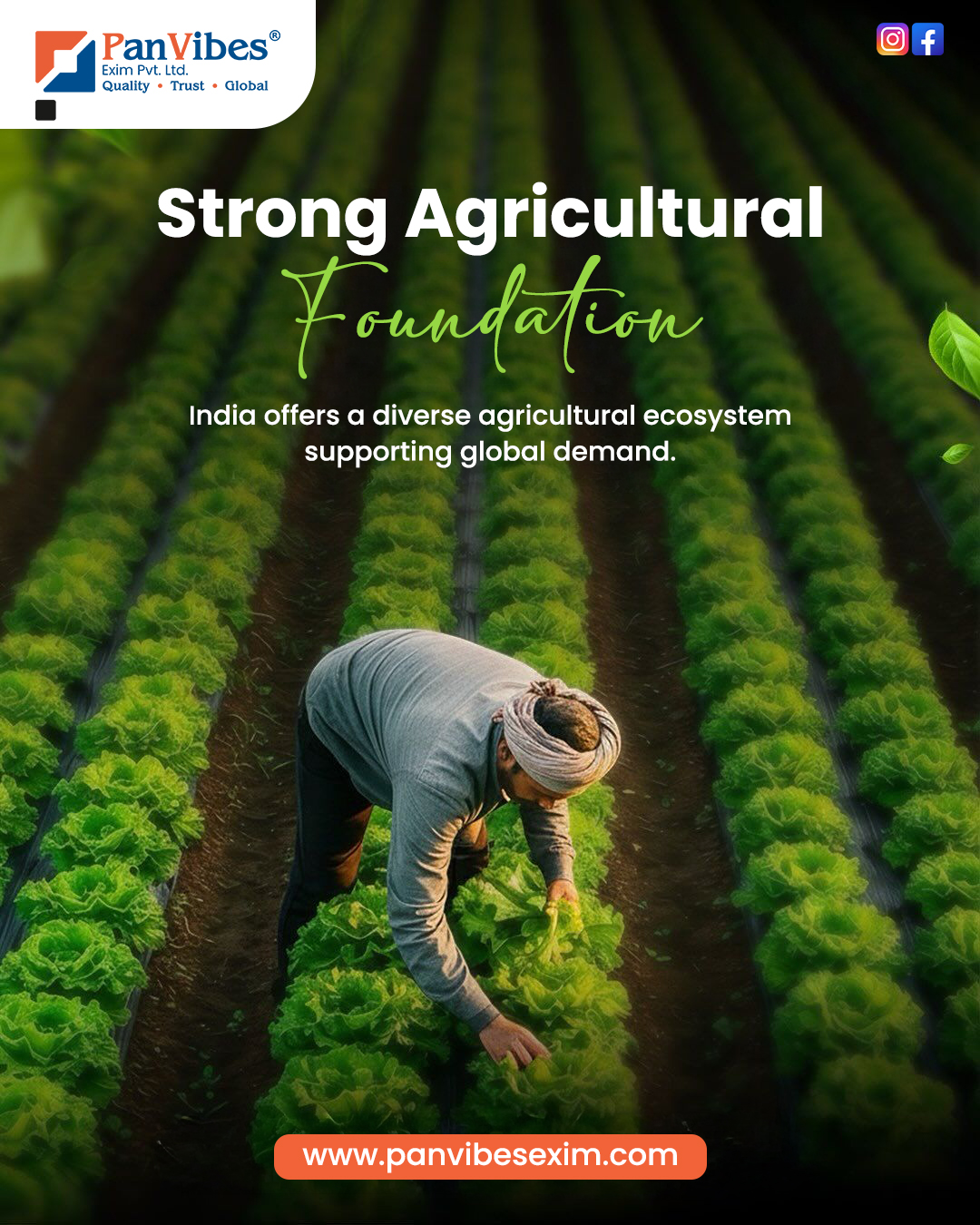 Agro Product Exporter in India, PanVibes Exim Global Supplier